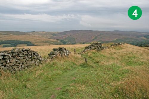 goyt-valley-walk-17-stage-4