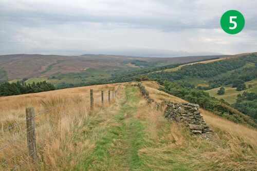 goyt-valley-walk-17-stage-5