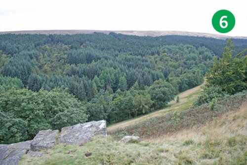 goyt-valley-walk-17-stage-6