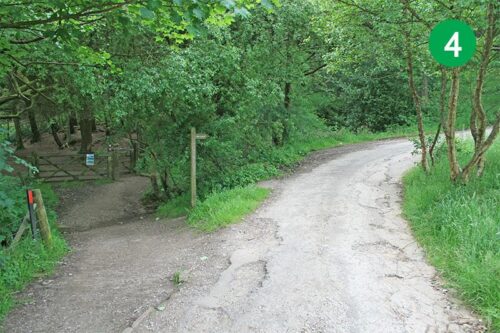 goyt-valley-walk-18-stage-4