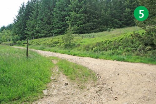goyt-valley-walk-18-stage-5