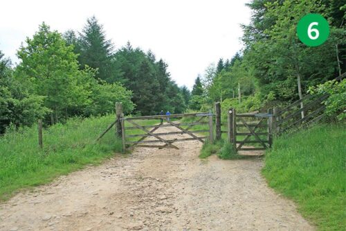 goyt-valley-walk-18-stage-6