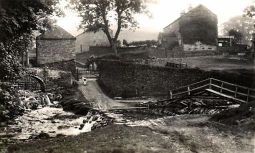 The stepping stones