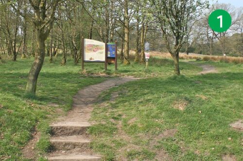 walk-4-stage-1