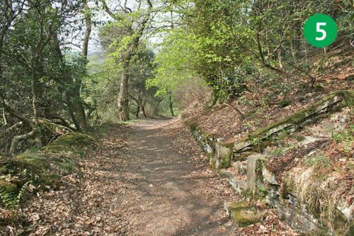 walk-4-stage-5