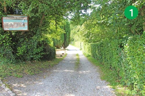 walk-5-whaley-bridge-to-taxal-stage-1