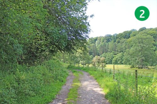 walk-5-whaley-bridge-to-taxal-stage-2