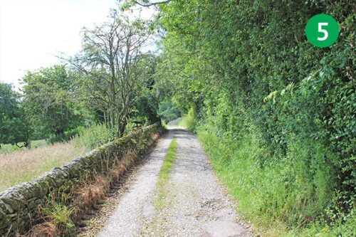 walk-5-whaley-bridge-to-taxal-stage-5