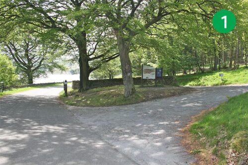 walk-6-stage-1-new