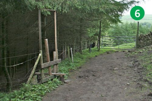 walk-6-stage-6-new