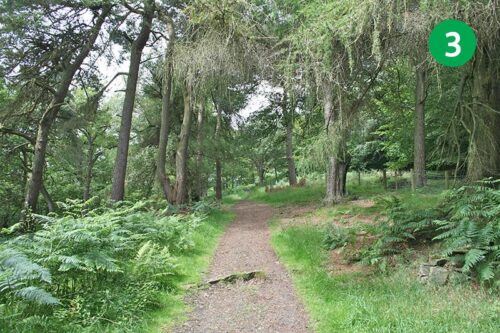 walk-8-stage-3
